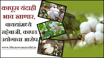 Cotton Price