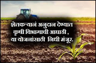 Department of Agriculture