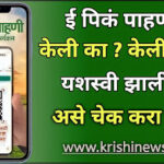 E Pik Pahani Status Check
