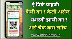 E Pik Pahani Status Check