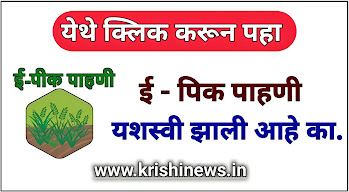 E Pik Pahani Status