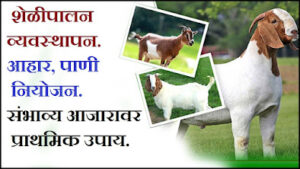 Goat Farming