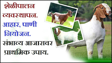 Goat Farming