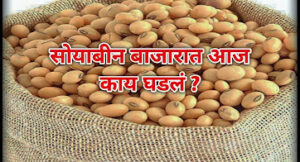 Soybean Rate