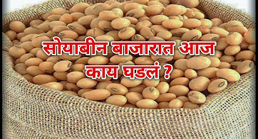 Soybean Rate