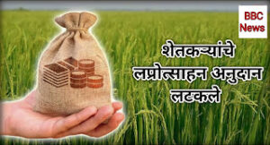 Subsidy